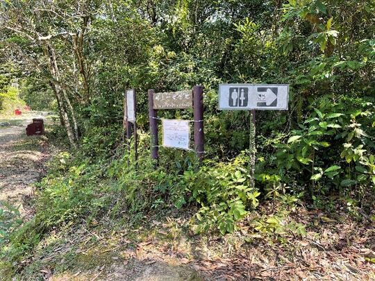 嶂上一号营地