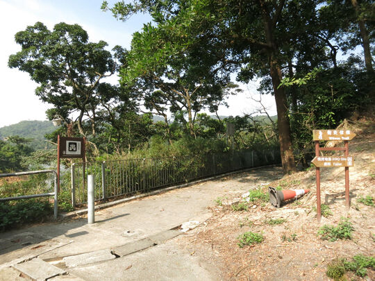 大埔道烧烤场