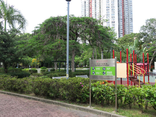 青衣枫树窝路大王下游樂场