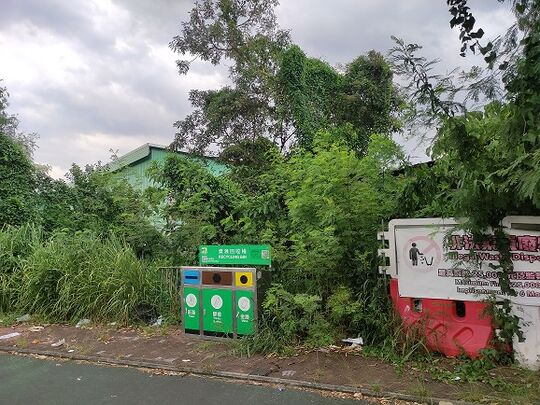田厦路巴士站(灯柱BD1556对面)