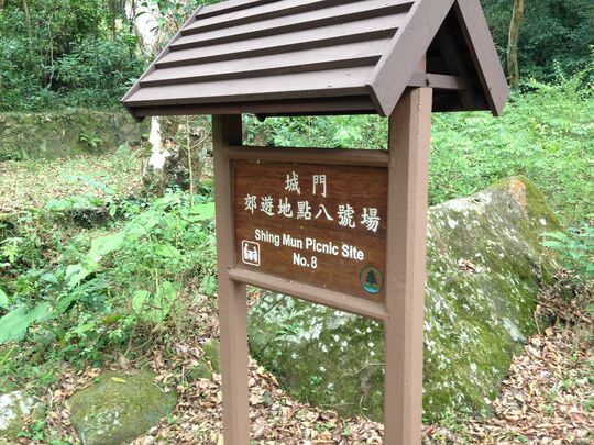 城门林道 城门郊游地点8