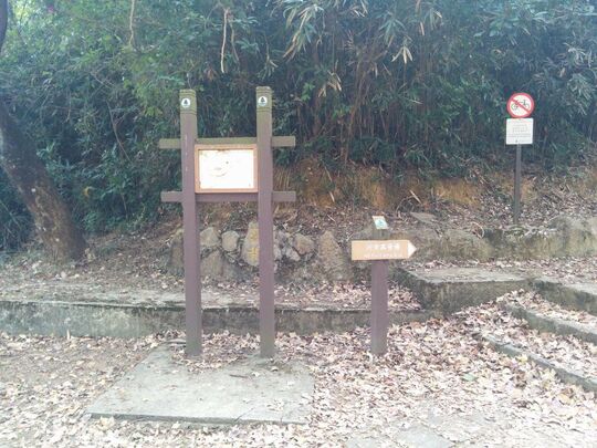 Ho Pui Camp Site, Pat Heung Catch Water Road (Ho Pui)