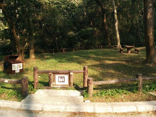 Tai Lam Forest Track (Tin Fu Tsai Section), Tai Lam Picnic Site, TL/P/401