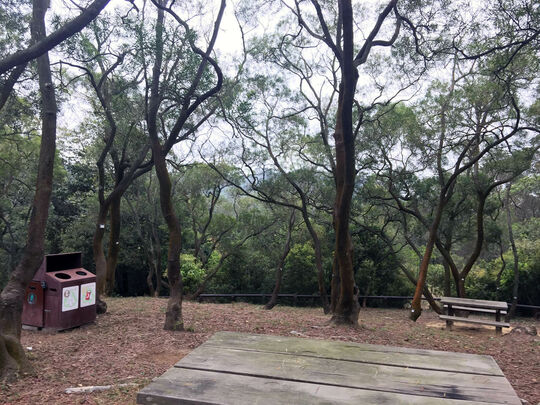 大榄林道深井段 郊游地点6